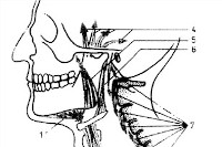 Kiefergelenkserkrankungen